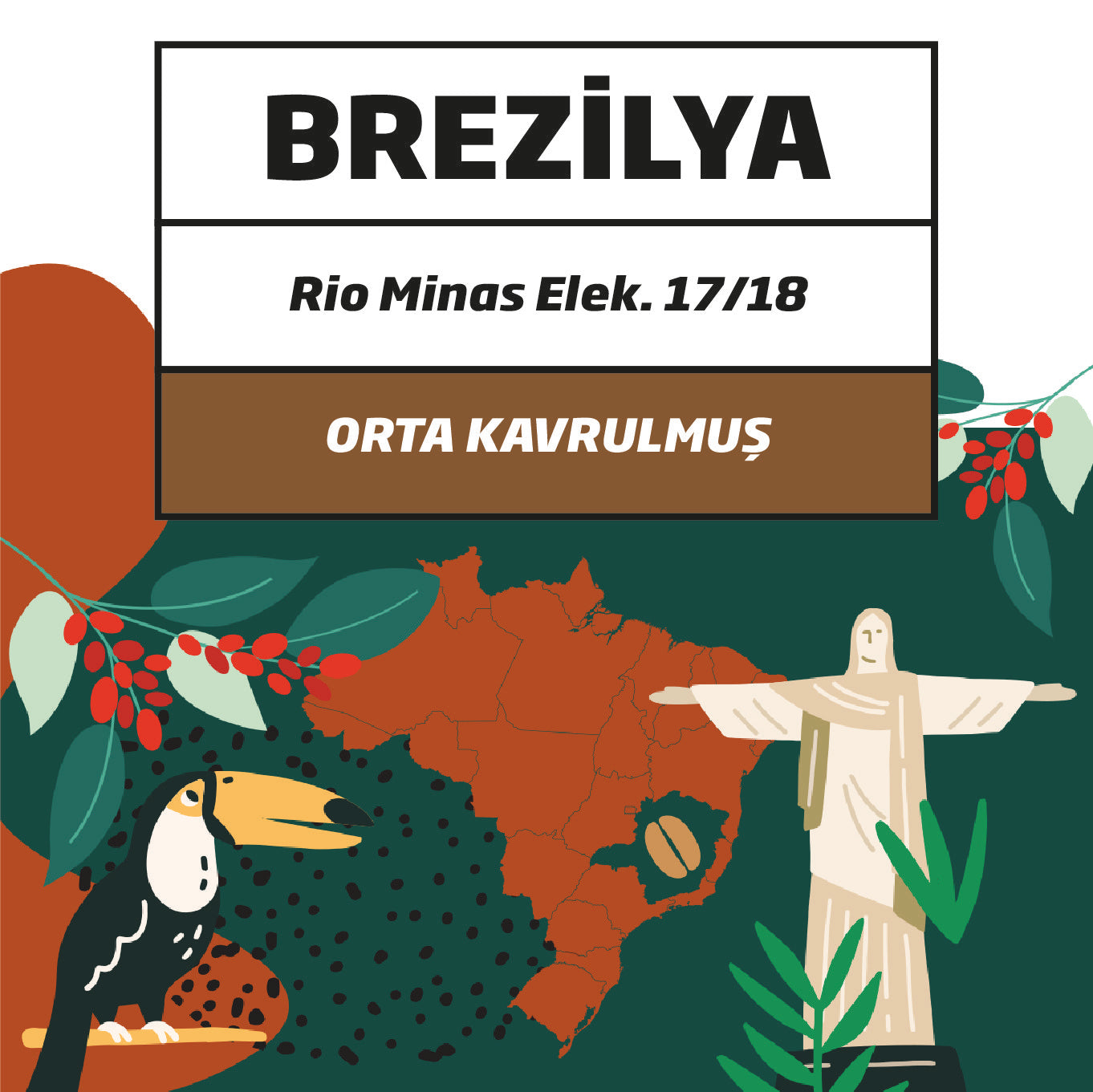 Brazilya Rio Minas Elek. 17/18 NY2/3 Arabica ORTA Kavrulmuş Kahve