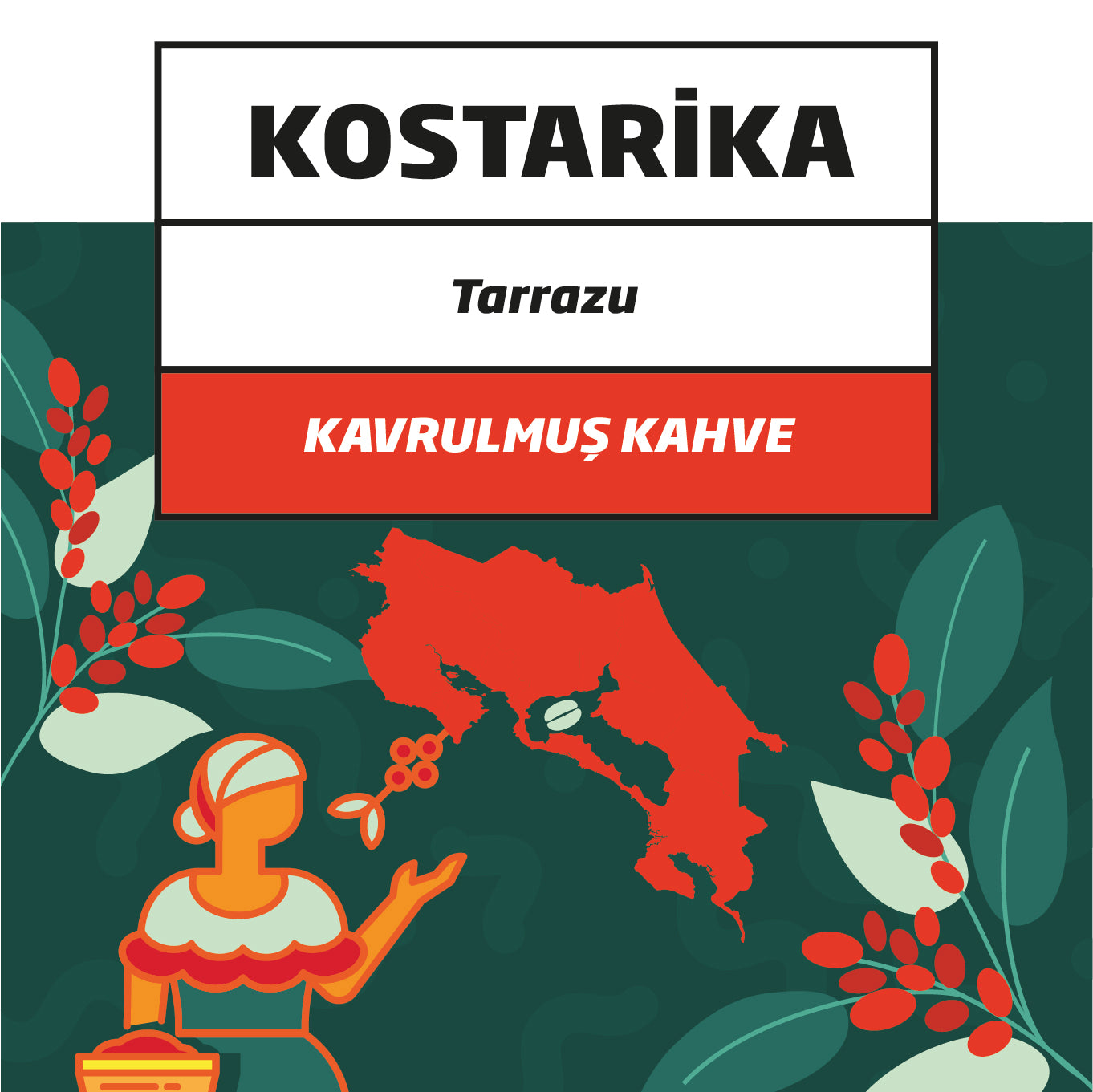 Kostarika Tarazzu – Kavrulmuş Filtre