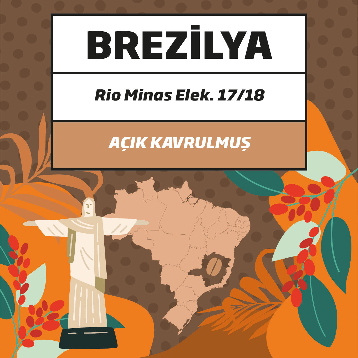 Brezilya Rio Minas Elek 17/18 NY2/3 Arabica AÇIK Kavrulmuş Kahve