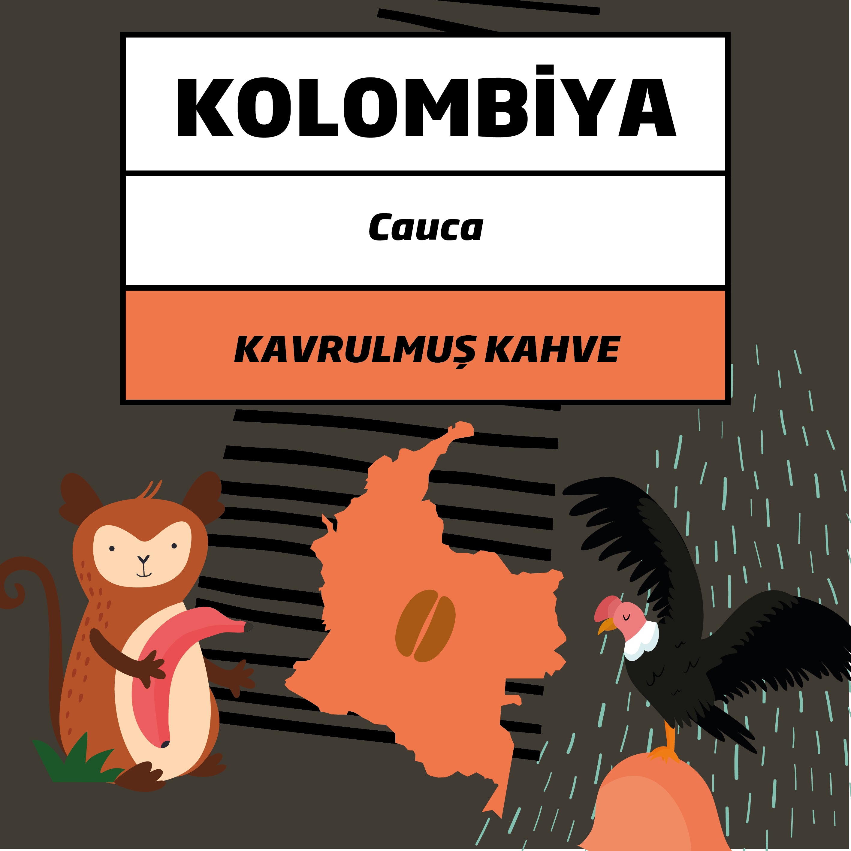 Colombia Cauca