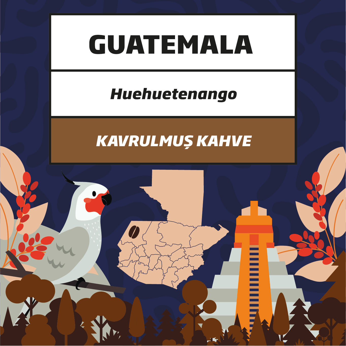 Guatemala SHB -Huehuetenango – Filtre