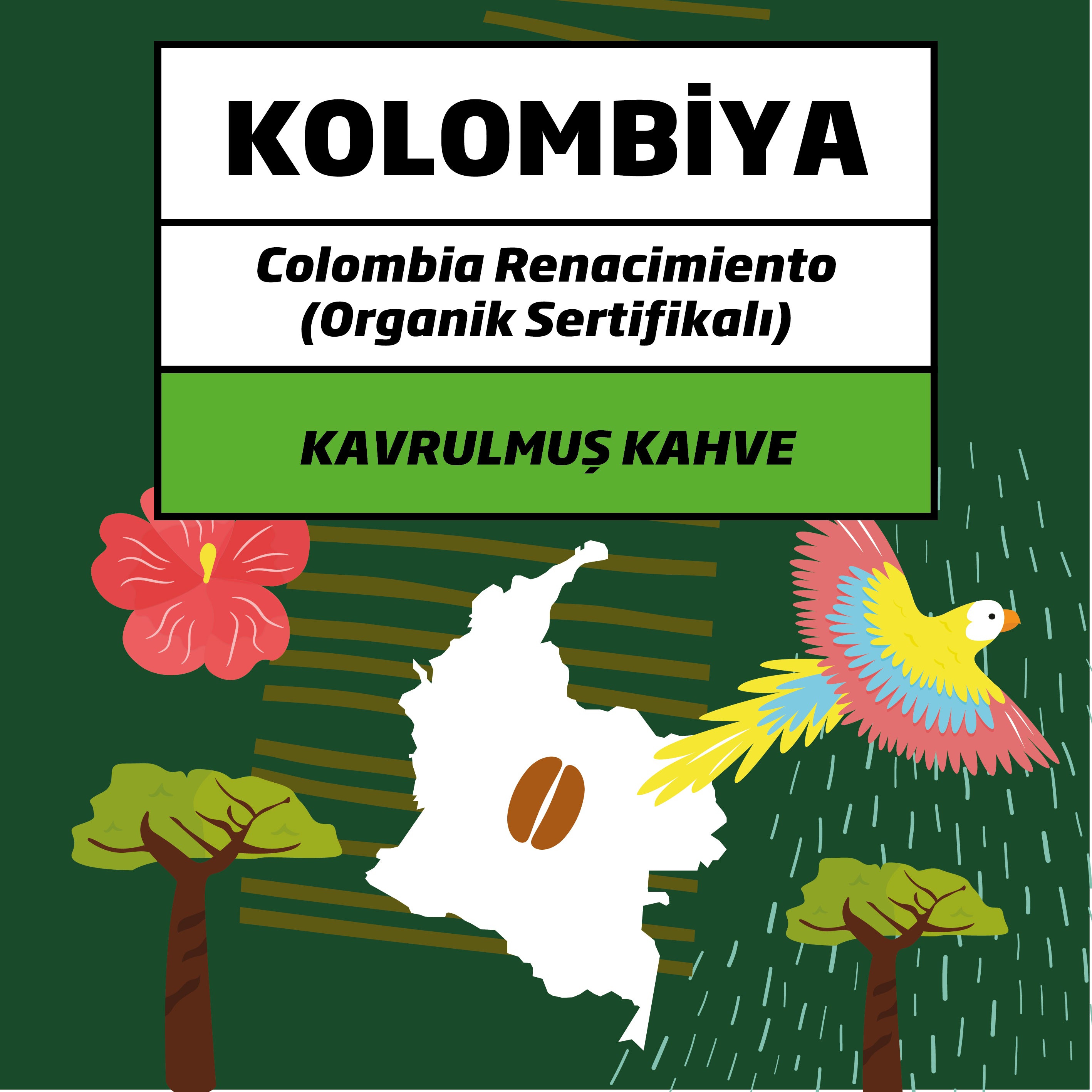 Colombia Renacimiento (Organik Sertifikalı)
