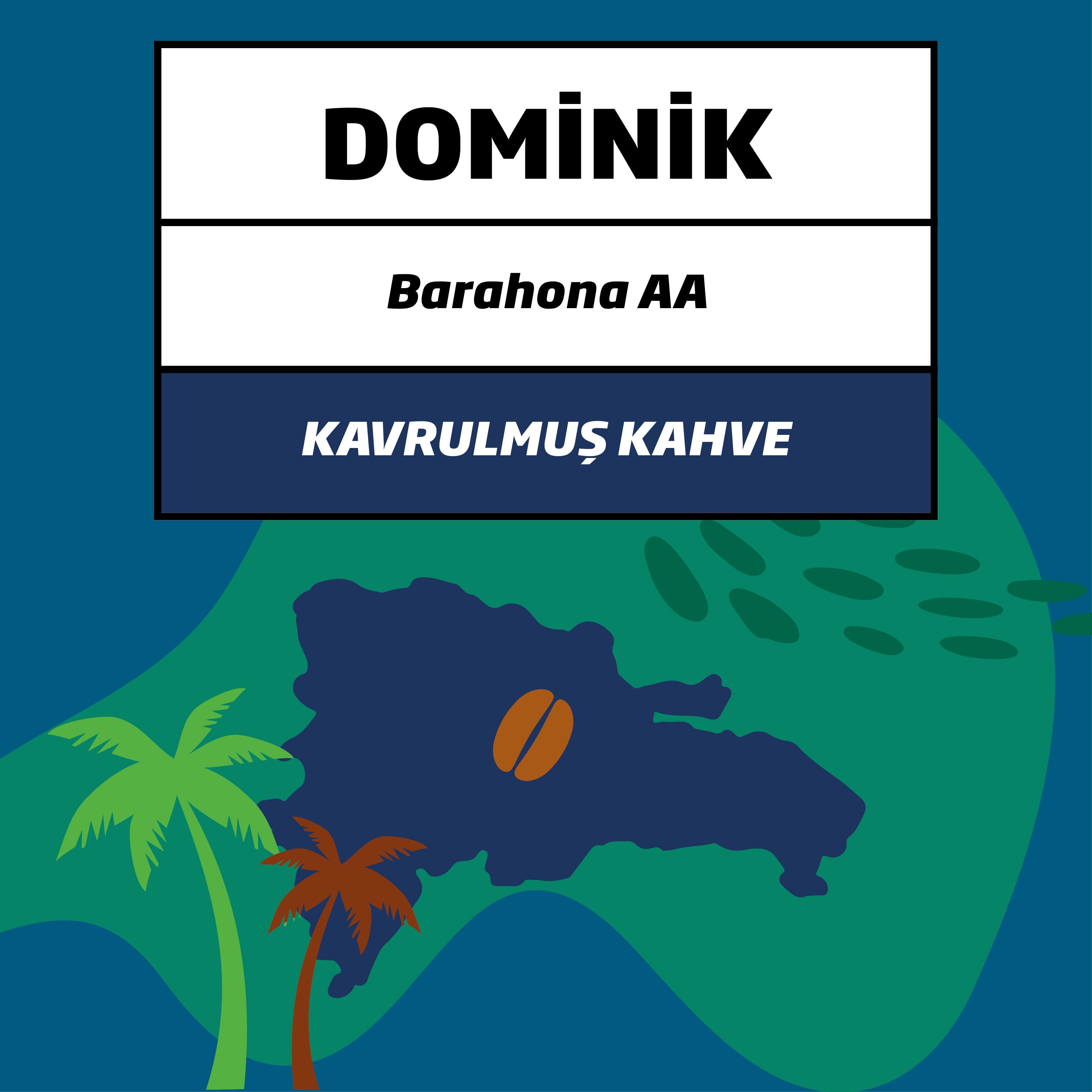 Dominik Barahona AA